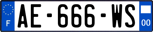 AE-666-WS