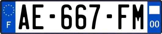 AE-667-FM