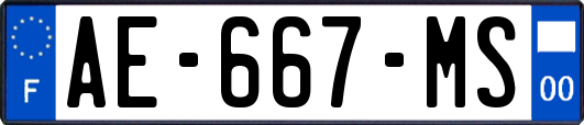 AE-667-MS