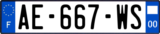 AE-667-WS