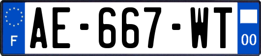 AE-667-WT