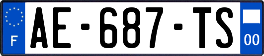 AE-687-TS