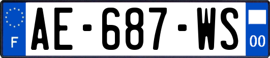 AE-687-WS