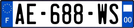 AE-688-WS