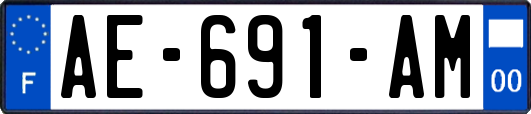 AE-691-AM