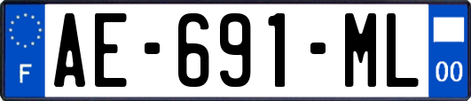 AE-691-ML