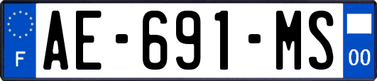 AE-691-MS