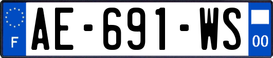 AE-691-WS