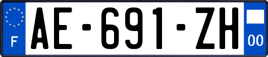 AE-691-ZH