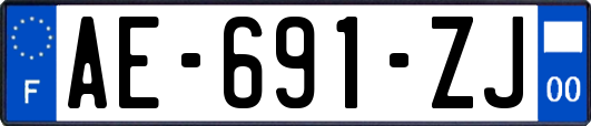 AE-691-ZJ