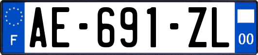 AE-691-ZL