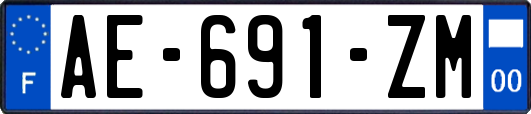 AE-691-ZM