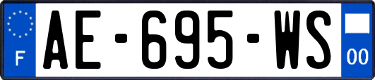 AE-695-WS
