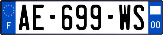 AE-699-WS