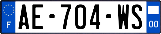 AE-704-WS