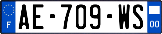 AE-709-WS