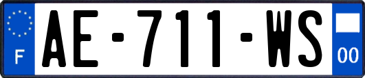 AE-711-WS