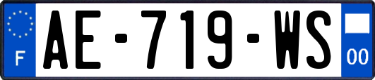 AE-719-WS