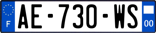 AE-730-WS
