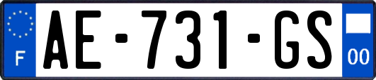 AE-731-GS
