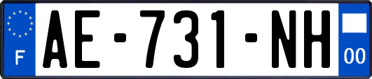 AE-731-NH