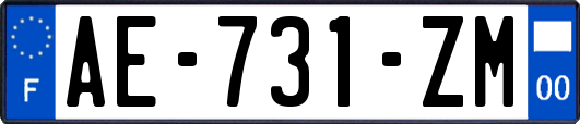 AE-731-ZM