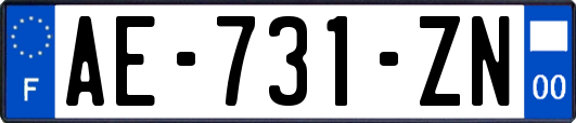 AE-731-ZN