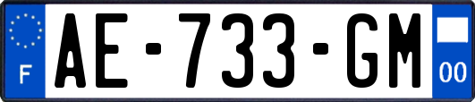 AE-733-GM