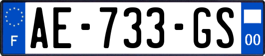 AE-733-GS