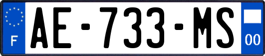 AE-733-MS