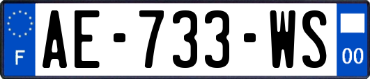 AE-733-WS