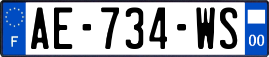 AE-734-WS