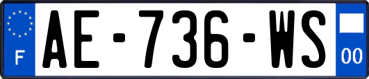 AE-736-WS