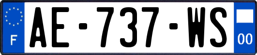 AE-737-WS