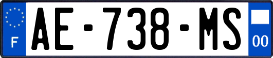 AE-738-MS