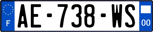 AE-738-WS