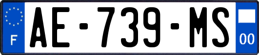 AE-739-MS