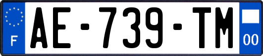 AE-739-TM