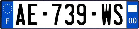 AE-739-WS