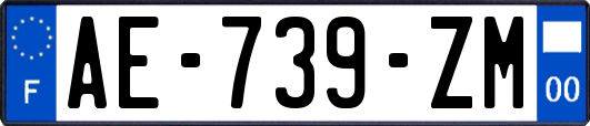 AE-739-ZM