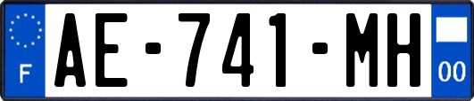 AE-741-MH