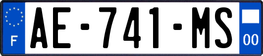AE-741-MS