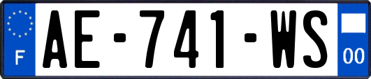 AE-741-WS