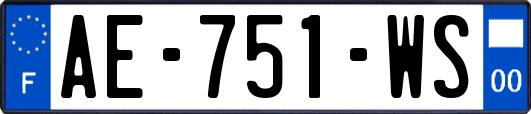 AE-751-WS