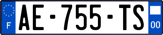 AE-755-TS