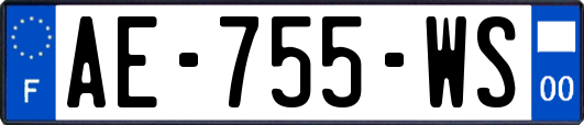 AE-755-WS