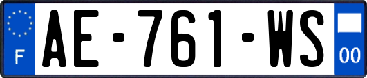 AE-761-WS