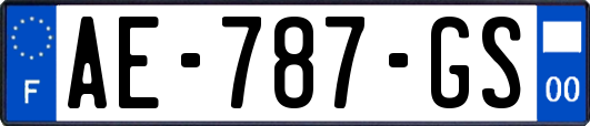 AE-787-GS