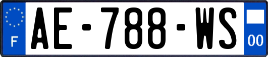 AE-788-WS