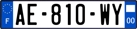 AE-810-WY
